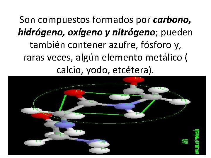 Son compuestos formados por carbono, hidrógeno, oxígeno y nitrógeno; pueden también contener azufre, fósforo
