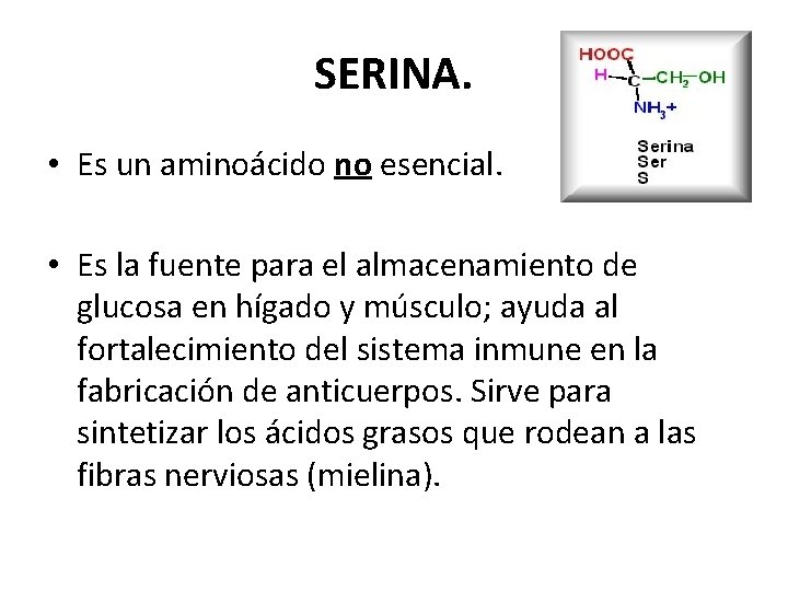 SERINA. • Es un aminoácido no esencial. • Es la fuente para el almacenamiento