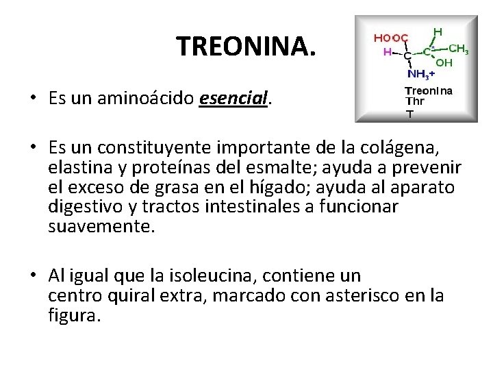 TREONINA. • Es un aminoácido esencial. • Es un constituyente importante de la colágena,