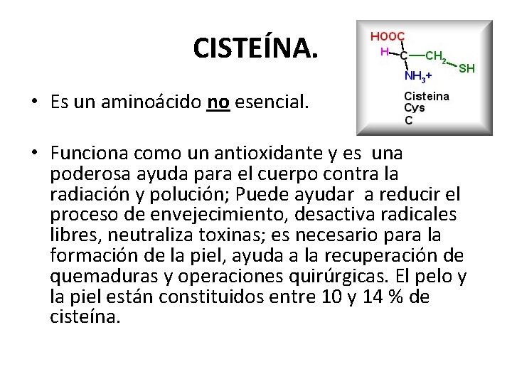 CISTEÍNA. • Es un aminoácido no esencial. • Funciona como un antioxidante y es