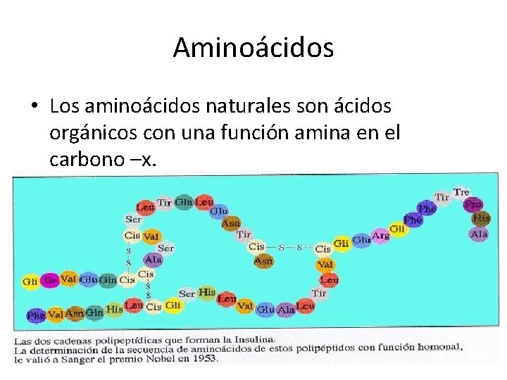 Aminoácidos • Los aminoácidos naturales son ácidos orgánicos con una función amina en el