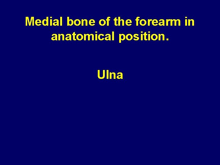 Medial bone of the forearm in anatomical position. Ulna 