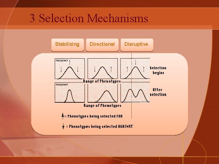 3 Selection Mechanisms Stabilizing Directional Disruptive 