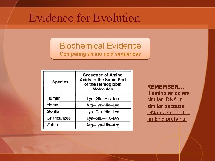 Evidence for Evolution Biochemical Evidence Comparing amino acid sequences REMEMBER… If amino acids are