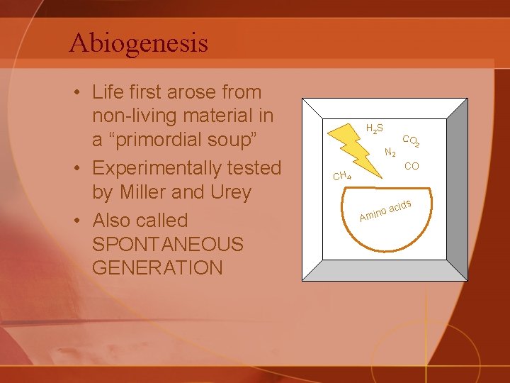 Abiogenesis • Life first arose from non-living material in a “primordial soup” • Experimentally