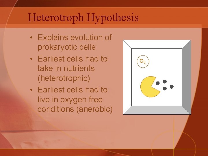 Heterotroph Hypothesis • Explains evolution of prokaryotic cells • Earliest cells had to take