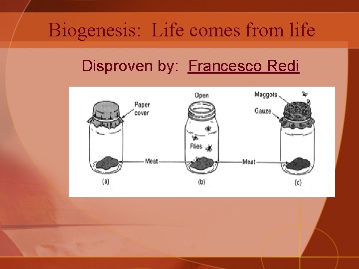 Biogenesis: Life comes from life Disproven by: Francesco Redi 