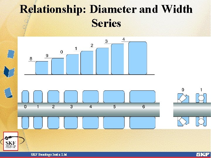 Relationship: Diameter and Width Series 