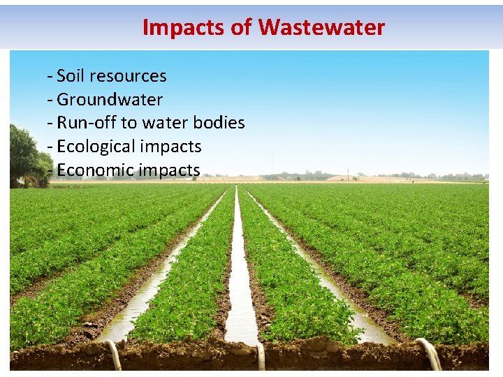 Impacts of Wastewater - Soil resources - Groundwater - Run-off to water bodies -