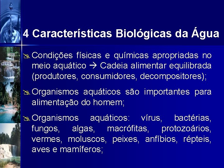 4 Características Biológicas da Água @ Condições físicas e químicas apropriadas no meio aquático