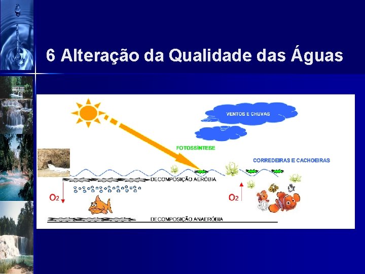 6 Alteração da Qualidade das Águas 