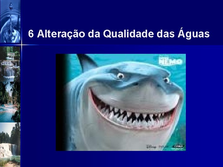6 Alteração da Qualidade das Águas 