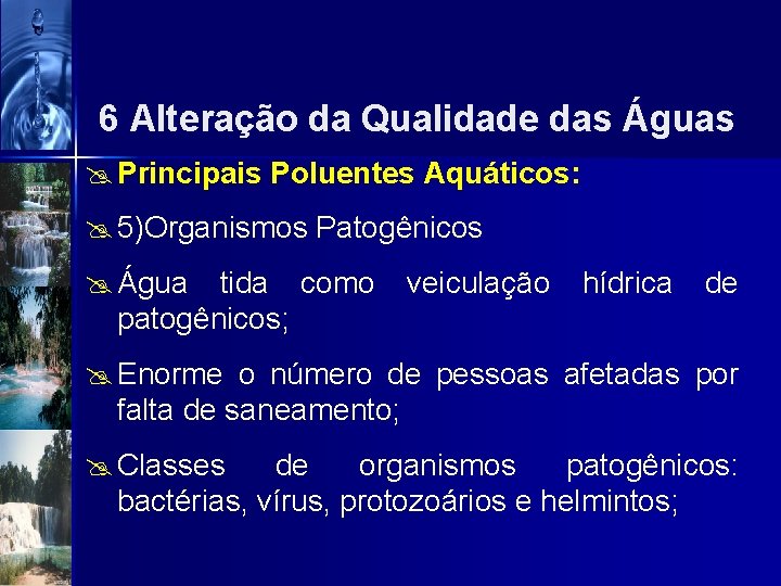 6 Alteração da Qualidade das Águas @ Principais Poluentes Aquáticos: @ 5)Organismos Patogênicos @