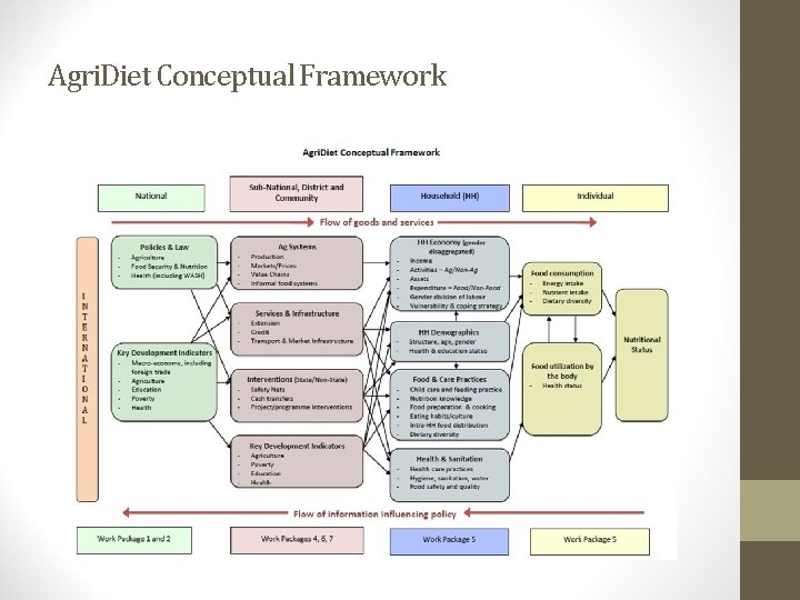 Agri. Diet Conceptual Framework 