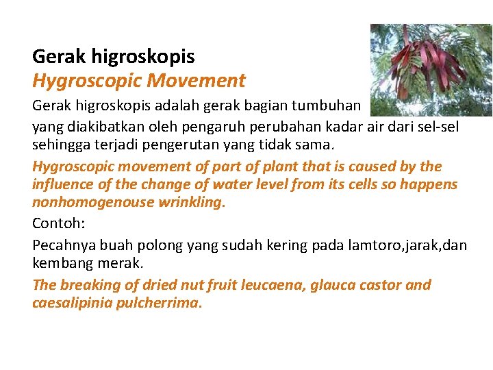 Gerak higroskopis Hygroscopic Movement Gerak higroskopis adalah gerak bagian tumbuhan yang diakibatkan oleh pengaruh