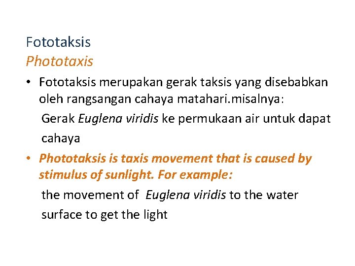 Fototaksis Phototaxis • Fototaksis merupakan gerak taksis yang disebabkan oleh rangsangan cahaya matahari. misalnya: