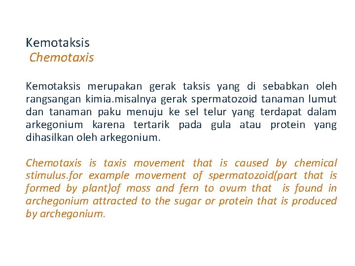 Kemotaksis Chemotaxis Kemotaksis merupakan gerak taksis yang di sebabkan oleh rangsangan kimia. misalnya gerak