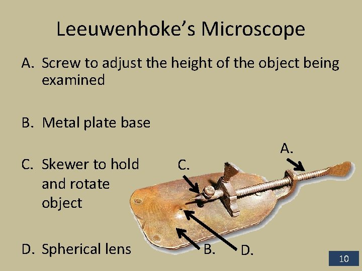 Leeuwenhoke’s Microscope A. Screw to adjust the height of the object being examined B.
