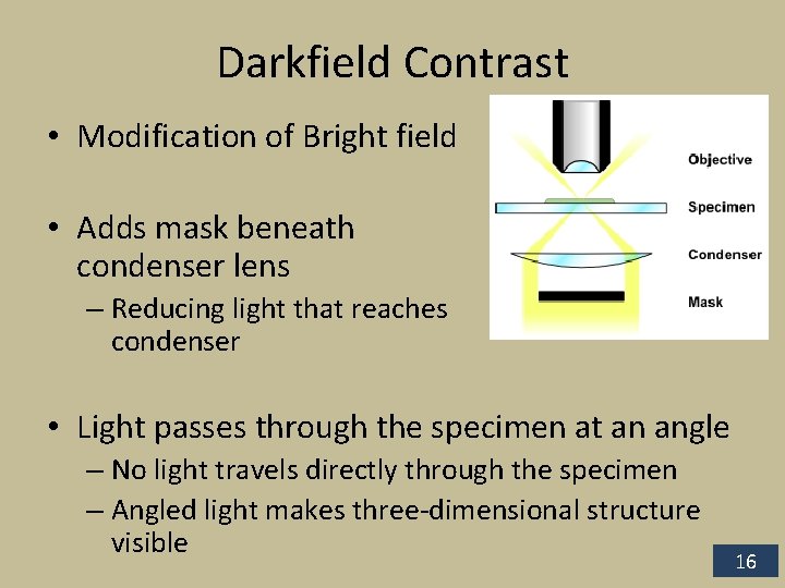Darkfield Contrast • Modification of Bright field • Adds mask beneath condenser lens –