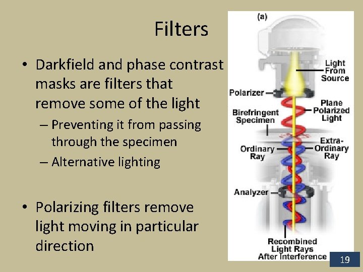 Filters • Darkfield and phase contrast masks are filters that remove some of the