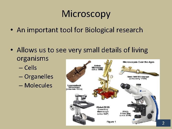 Microscopy • An important tool for Biological research • Allows us to see very