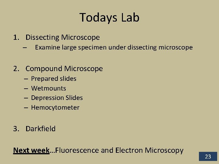 Todays Lab 1. Dissecting Microscope – Examine large specimen under dissecting microscope 2. Compound