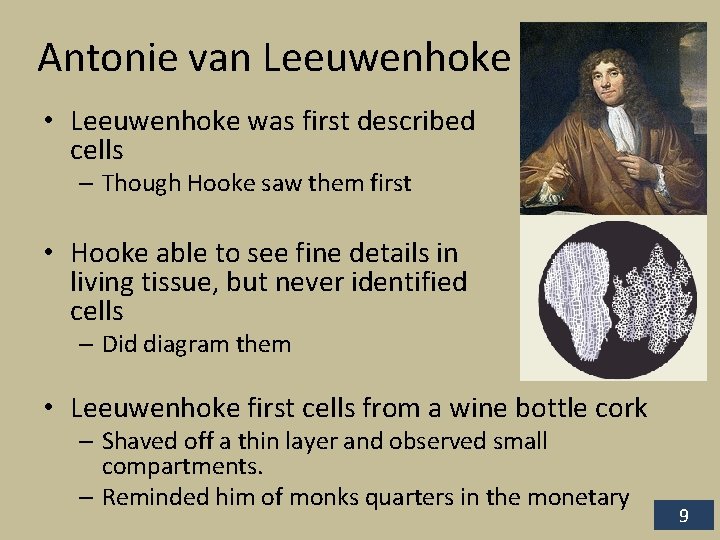 Antonie van Leeuwenhoke • Leeuwenhoke was first described cells – Though Hooke saw them