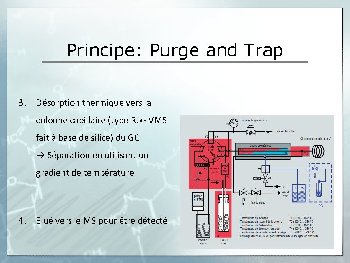Principe: Purge and Trap 3. Désorption thermique vers la colonne capillaire (type Rtx- VMS
