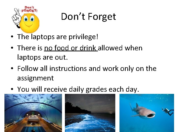 Don’t Forget • The laptops are privilege! • There is no food or drink