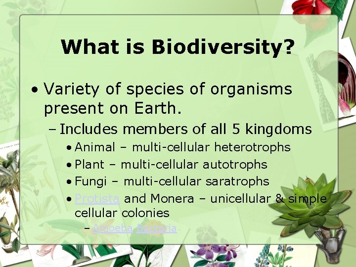 What is Biodiversity? • Variety of species of organisms present on Earth. – Includes