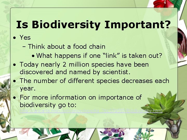 Is Biodiversity Important? • Yes – Think about a food chain • What happens