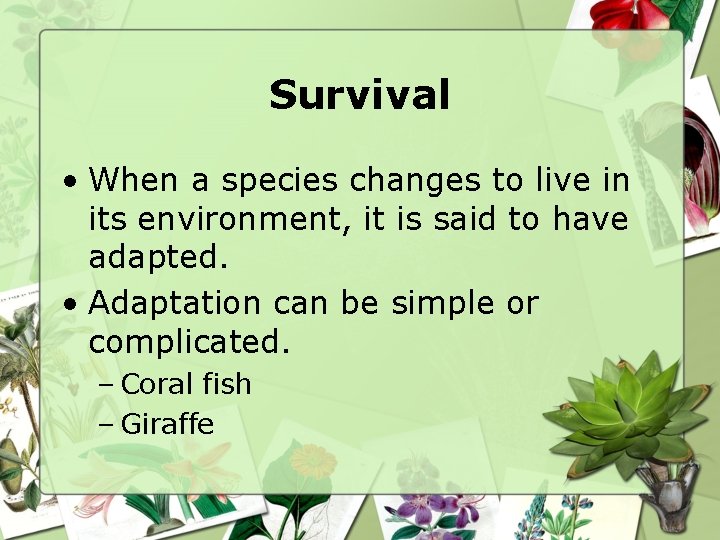 Survival • When a species changes to live in its environment, it is said