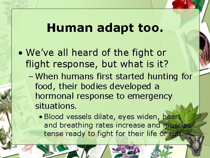 Human adapt too. • We’ve all heard of the fight or flight response, but
