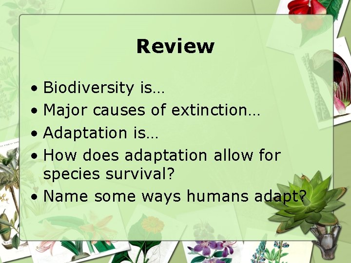 Review • Biodiversity is… • Major causes of extinction… • Adaptation is… • How