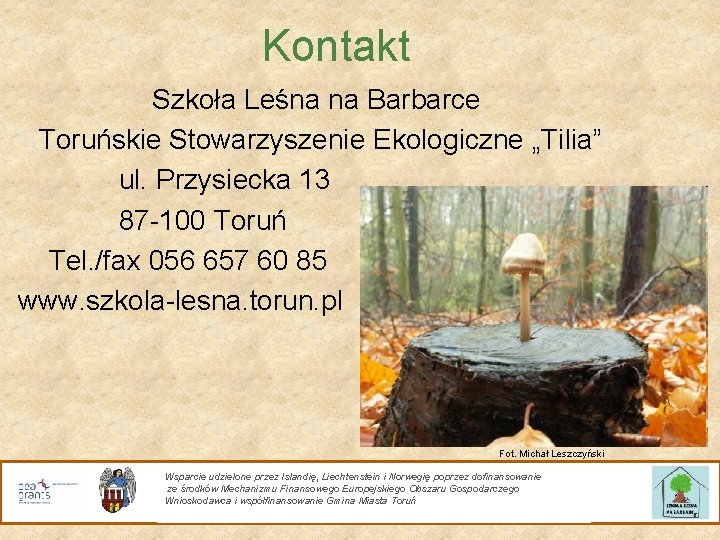 Kontakt Szkoła Leśna na Barbarce Toruńskie Stowarzyszenie Ekologiczne „Tilia” ul. Przysiecka 13 87 -100