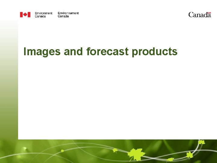 Images and forecast products 