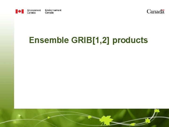 Ensemble GRIB[1, 2] products 