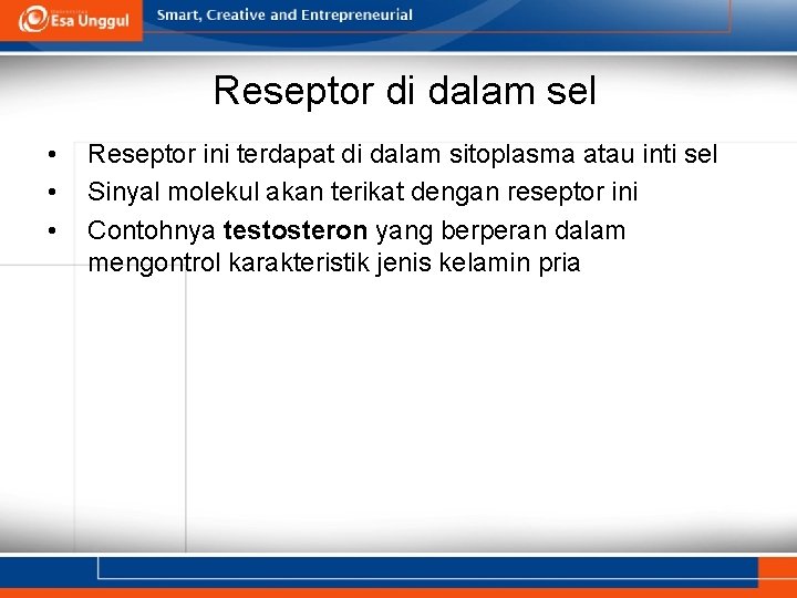 Reseptor di dalam sel • • • Reseptor ini terdapat di dalam sitoplasma atau