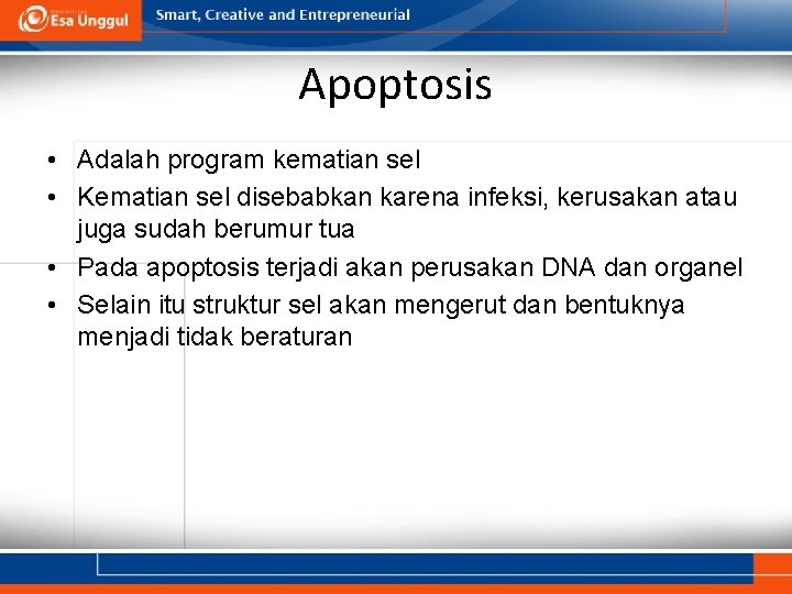 Apoptosis • Adalah program kematian sel • Kematian sel disebabkan karena infeksi, kerusakan atau