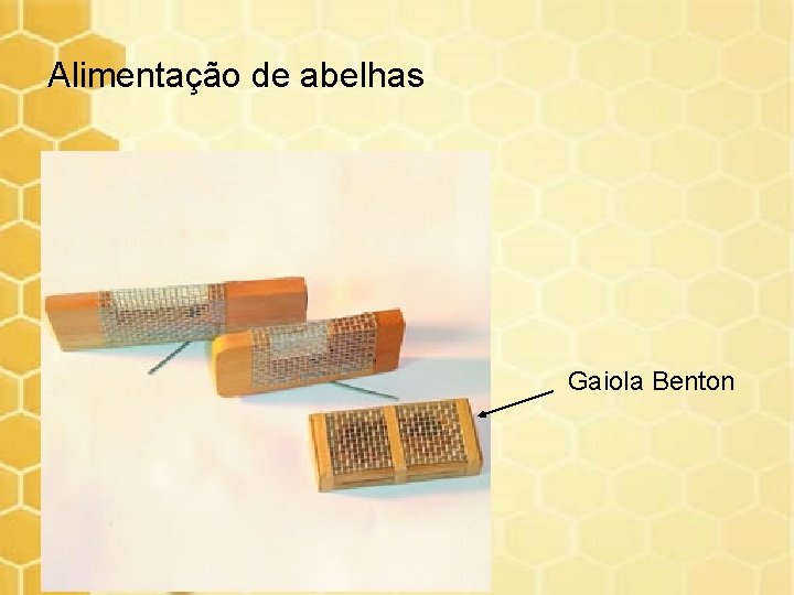 Alimentação de abelhas Gaiola Benton 