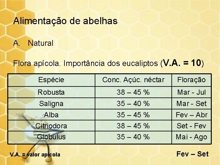 Alimentação de abelhas A. Natural Flora apícola. Importância dos eucaliptos (V. A. = 10)