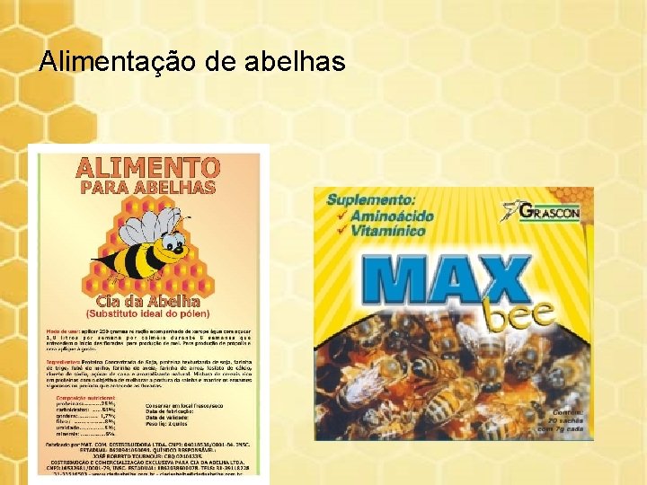Alimentação de abelhas 