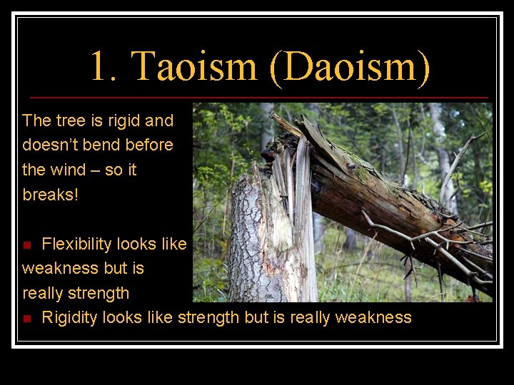 1. Taoism (Daoism) The tree is rigid and doesn’t bend before the wind –