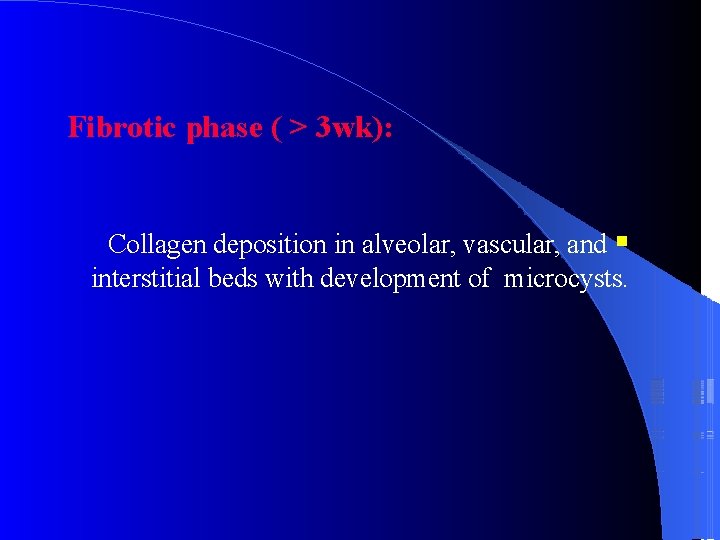 Fibrotic phase ( > 3 wk): Collagen deposition in alveolar, vascular, and interstitial beds