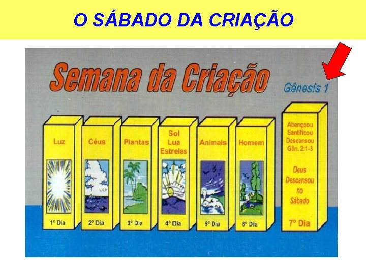 O SÁBADO DA CRIAÇÃO 