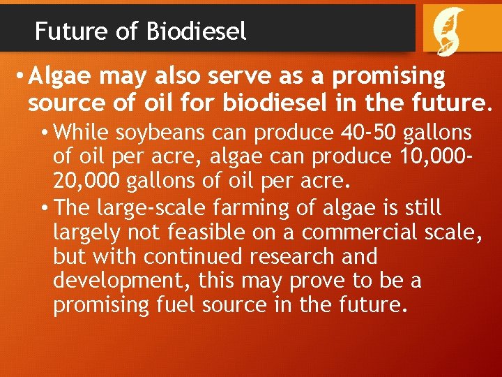 Future of Biodiesel • Algae may also serve as a promising source of oil