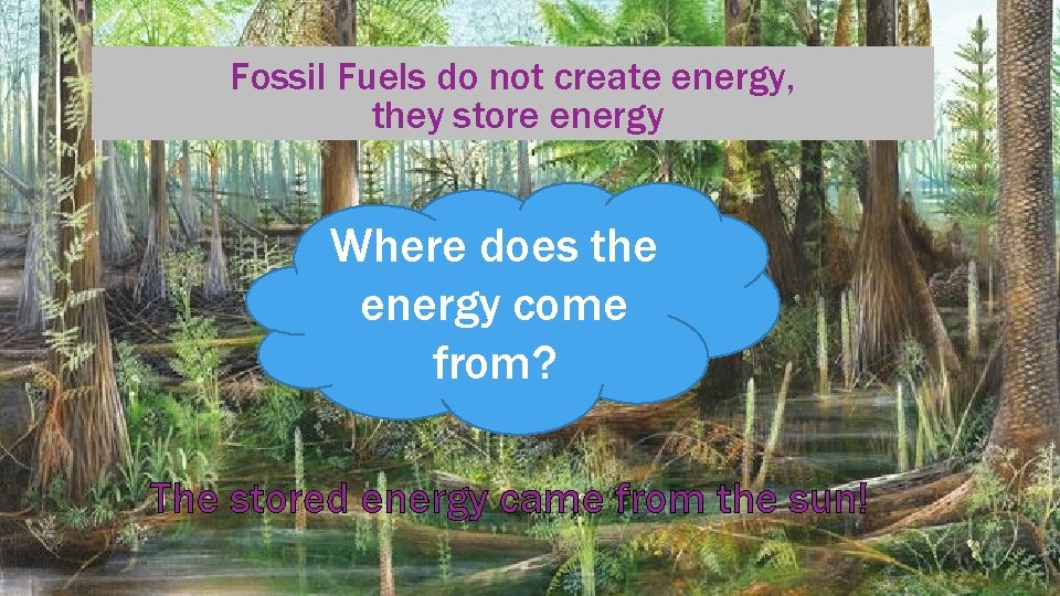 Fossil Fuels do not create energy, they store energy Where does the energy come