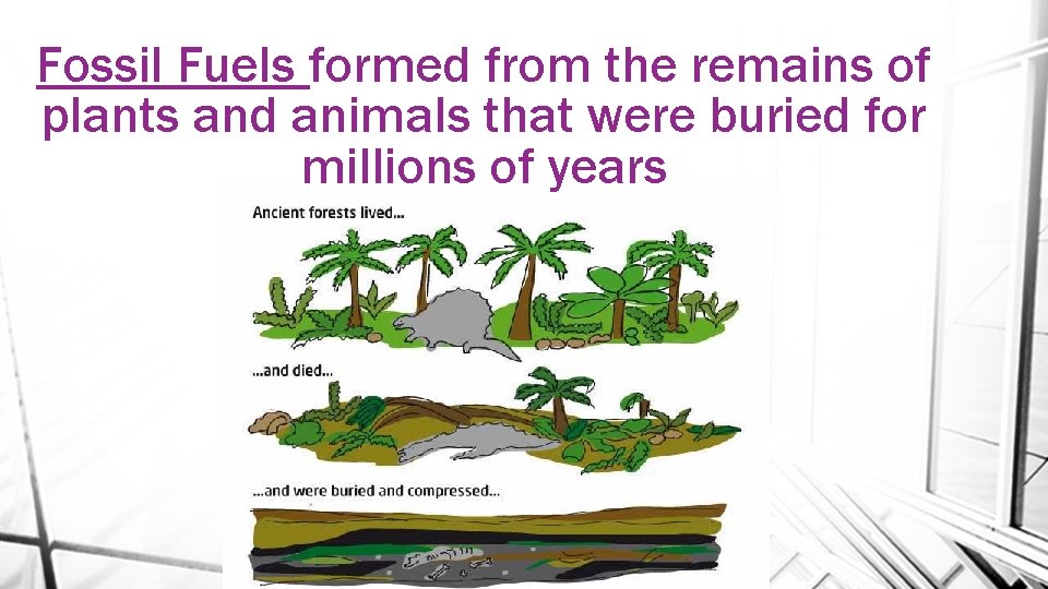 Fossil Fuels formed from the remains of plants and animals that were buried for