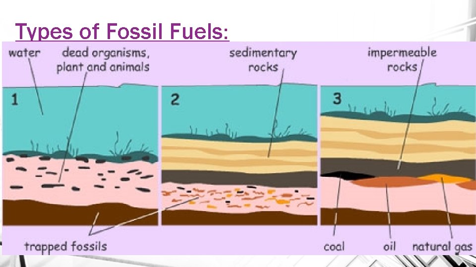 Types of Fossil Fuels: • Coal • Oil (petroleum) • Natural Gas 