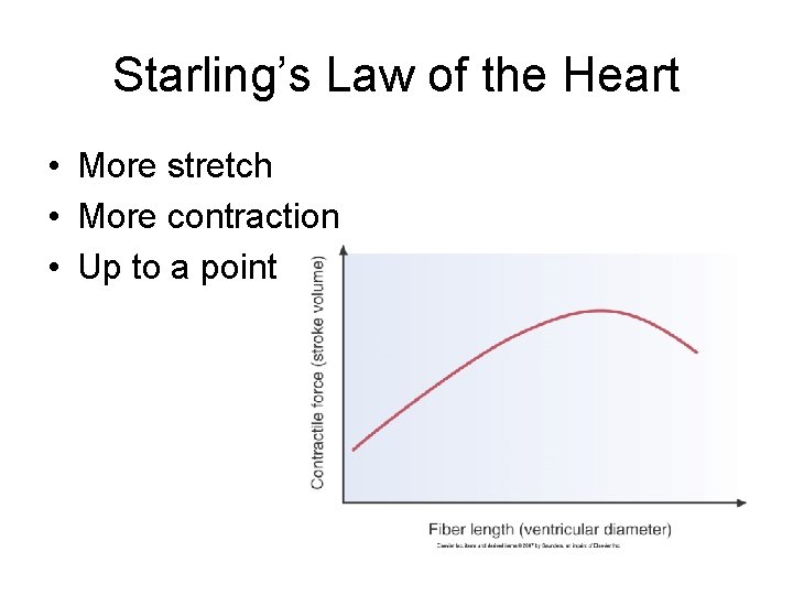 Starling’s Law of the Heart • More stretch • More contraction • Up to